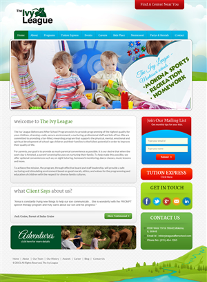 Wordpress Design by Expert Designer