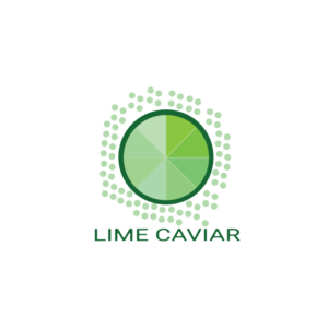 Logo Design by dofit.ach