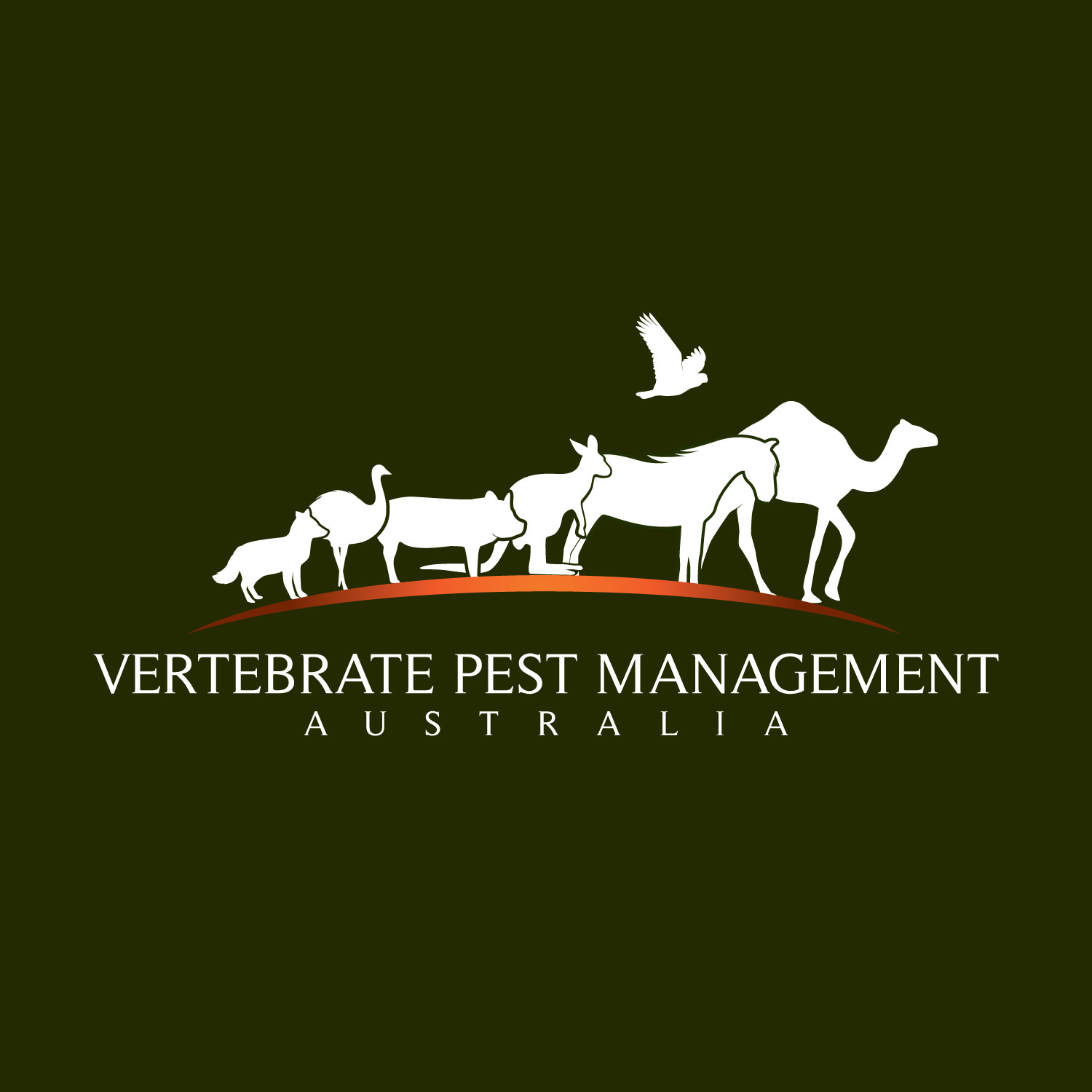 Logo Design by concepts for this project | Design: #15067069