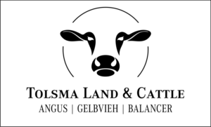 Logo Design by Cass G
