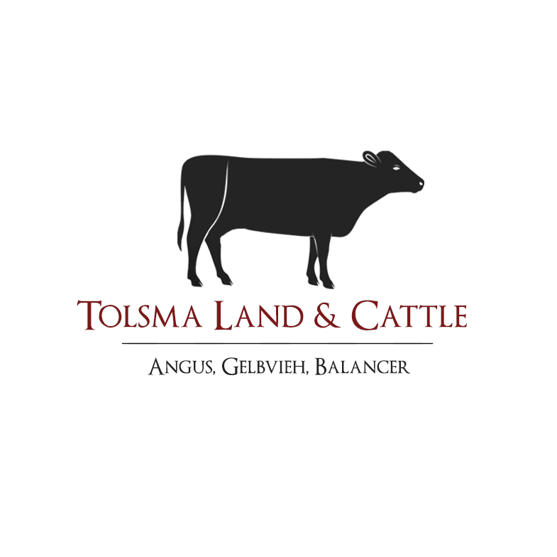 Logo Design by sammyjam for Tolsma Land & Cattle | Design #15013631