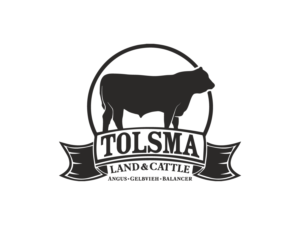 Logo Design by mirda