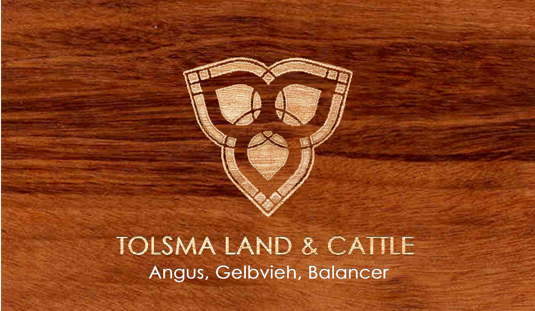 Diseño de Logo por Valentim para Tolsma Land & Cattle | Diseño #15110206