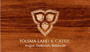 Logo Design by Valentim for Tolsma Land & Cattle | Design: #15110206