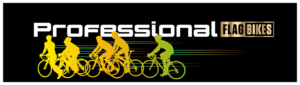 Logo Design by SANJAY NIRMAL for Flag Bikes | Design: #15178553
