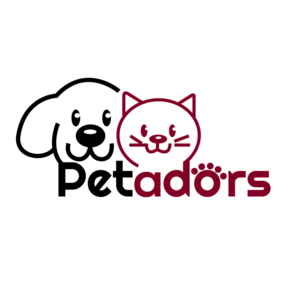 Logo Design by comfort design (Shakhawat Shamim )