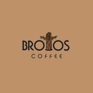 Logo Design by Gnoori Design