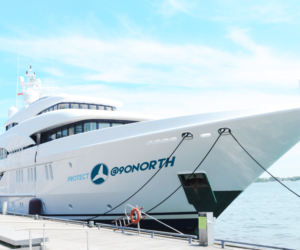 There are two elements: Protect 90 North & North Pole Project to integrated single logo. | Design de Logo par dyzagraphic