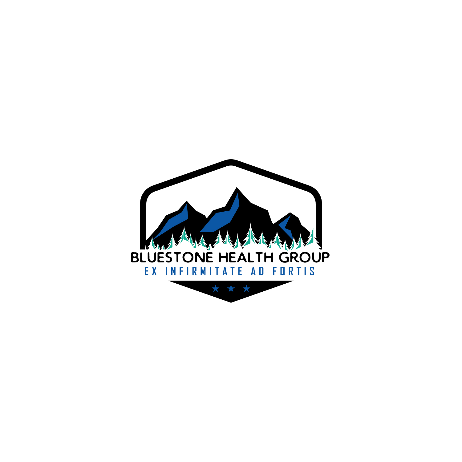 Logo Design by anshtoyj for Bluestone Health Group  | Design #15034930