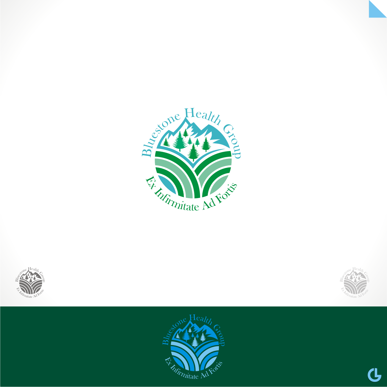 Design de Logo par R!CKY pour Bluestone Health Group  | Design #15038644