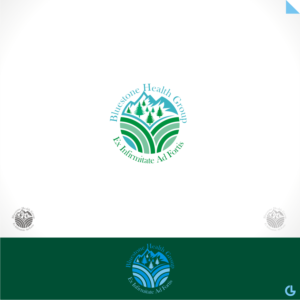 Logo Design by R!CKY for Bluestone Health Group  | Design: #15038644