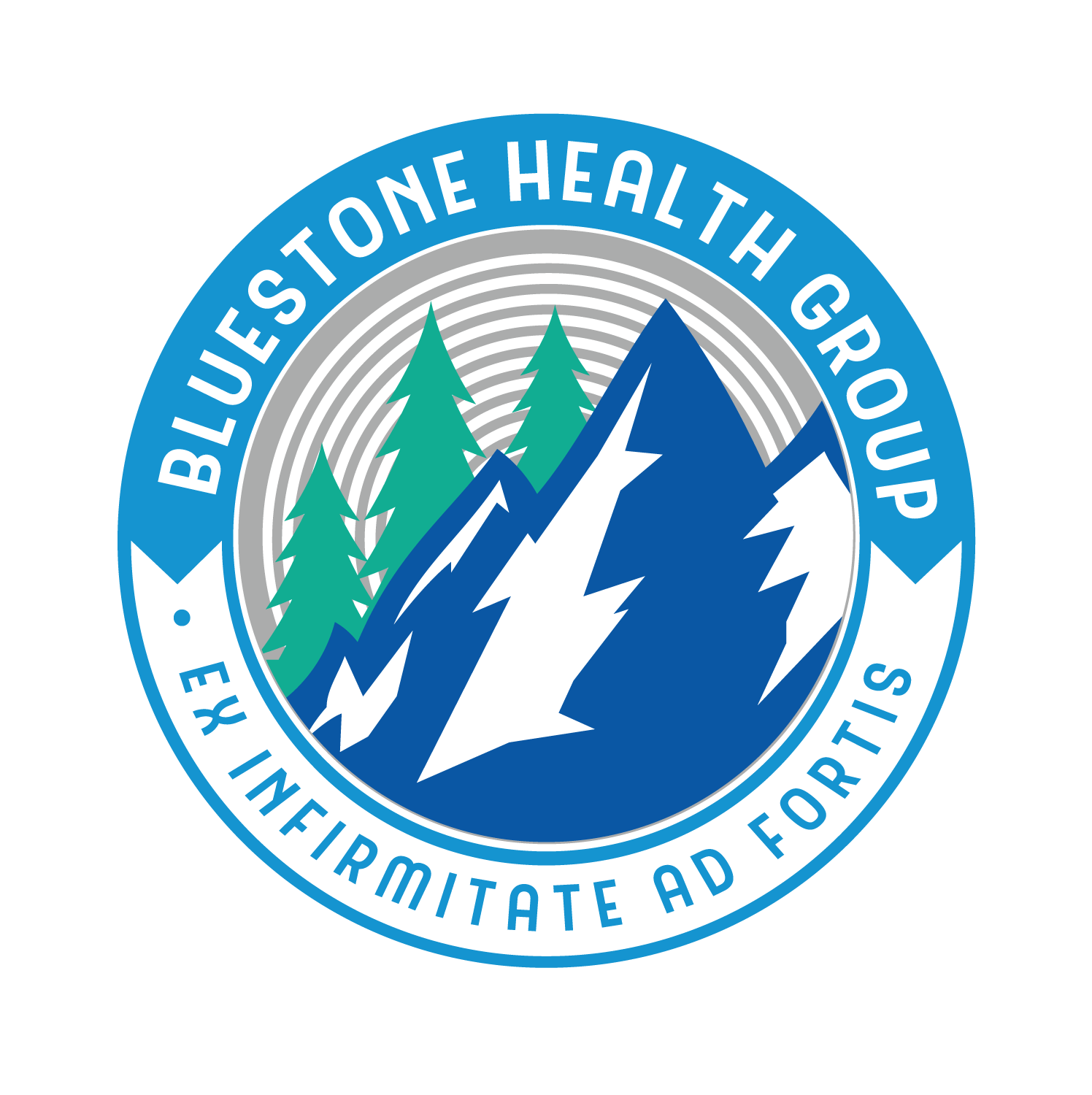 Design de Logo par Elephont Designs pour Bluestone Health Group  | Design #15096211