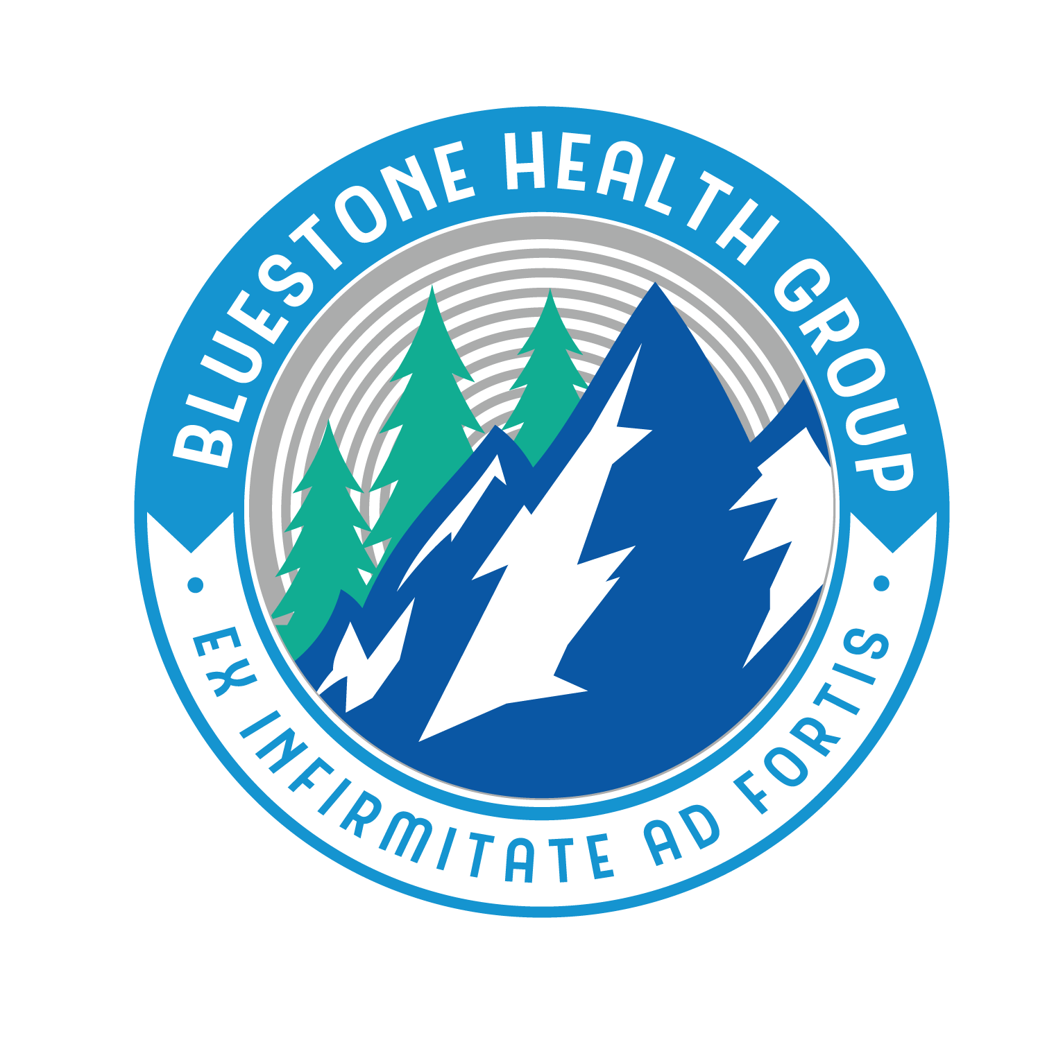 Logo-Design von Elephont Designs für Bluestone Health Group  | Design #15097453