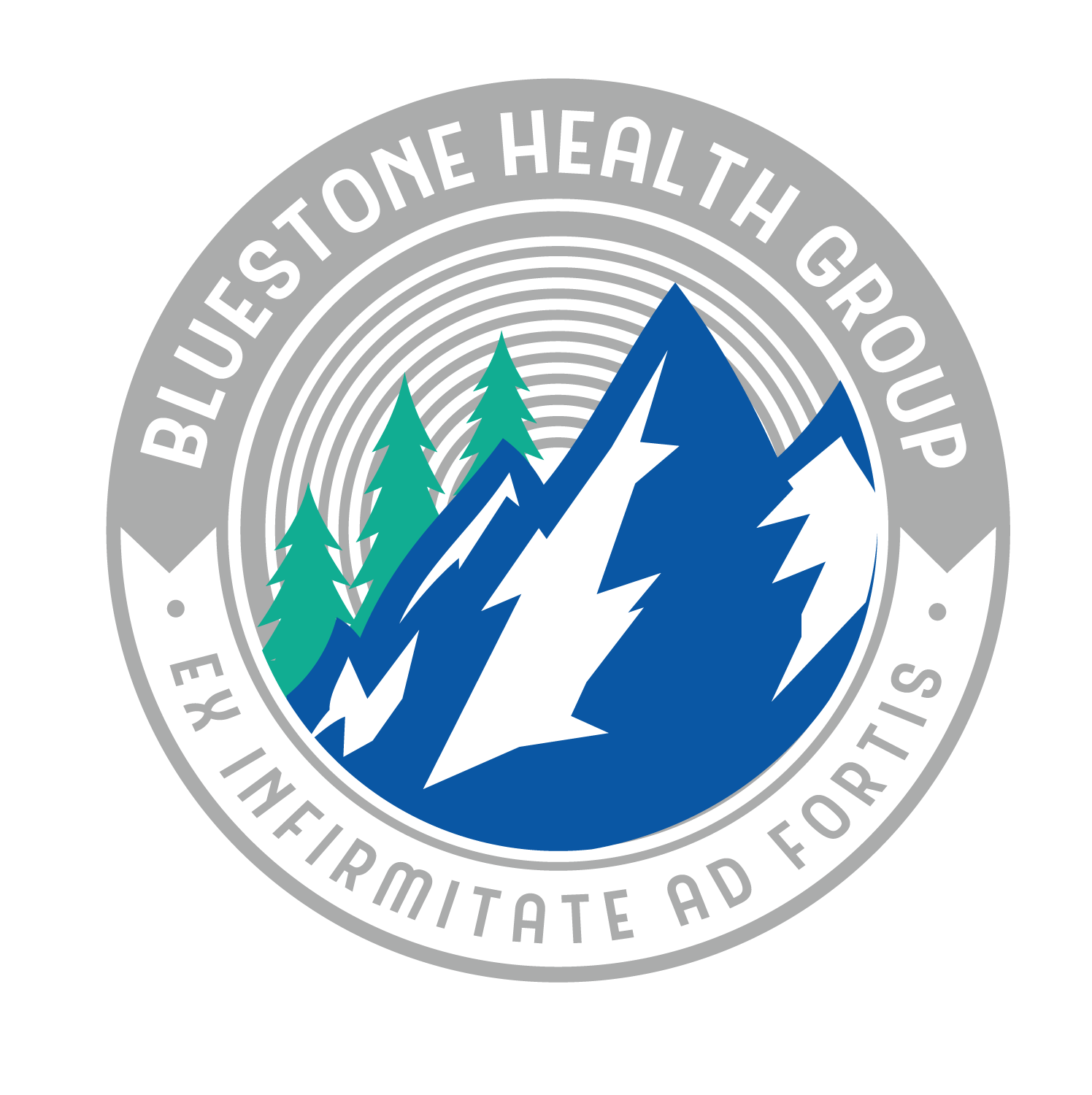 Design de Logo par Elephont Designs pour Bluestone Health Group  | Design #15097454