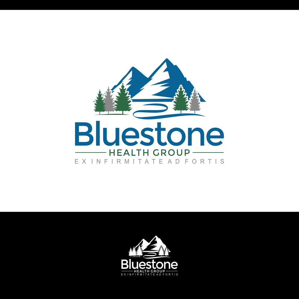 Design de Logo par e-graphics pour Bluestone Health Group  | Design #15028734