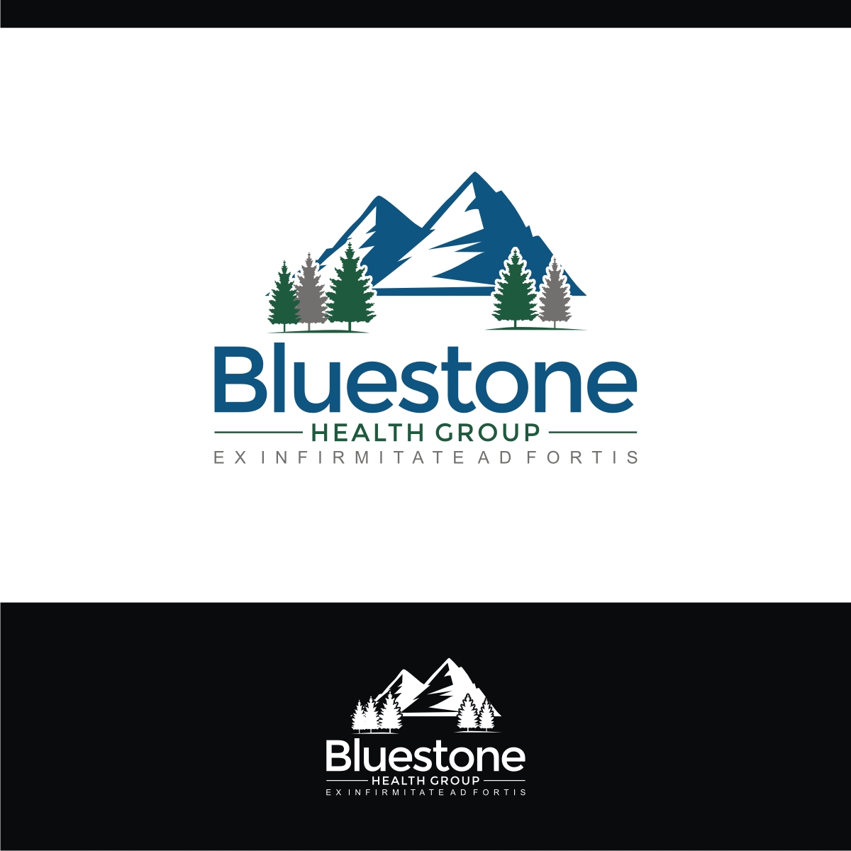 Design de Logo par e-graphics pour Bluestone Health Group  | Design #15036064