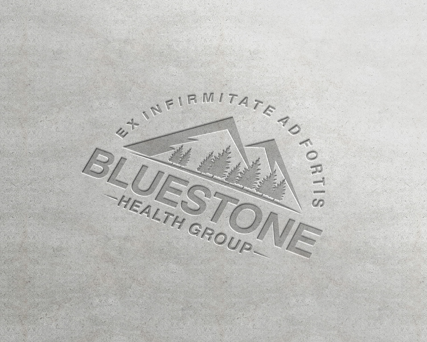 Logo Design by e-graphics for Bluestone Health Group  | Design #15041035