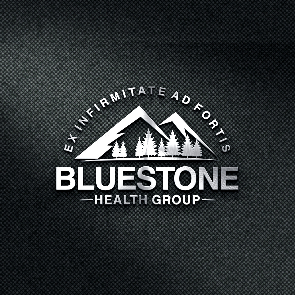 Logo Design by e-graphics for Bluestone Health Group  | Design #15041036