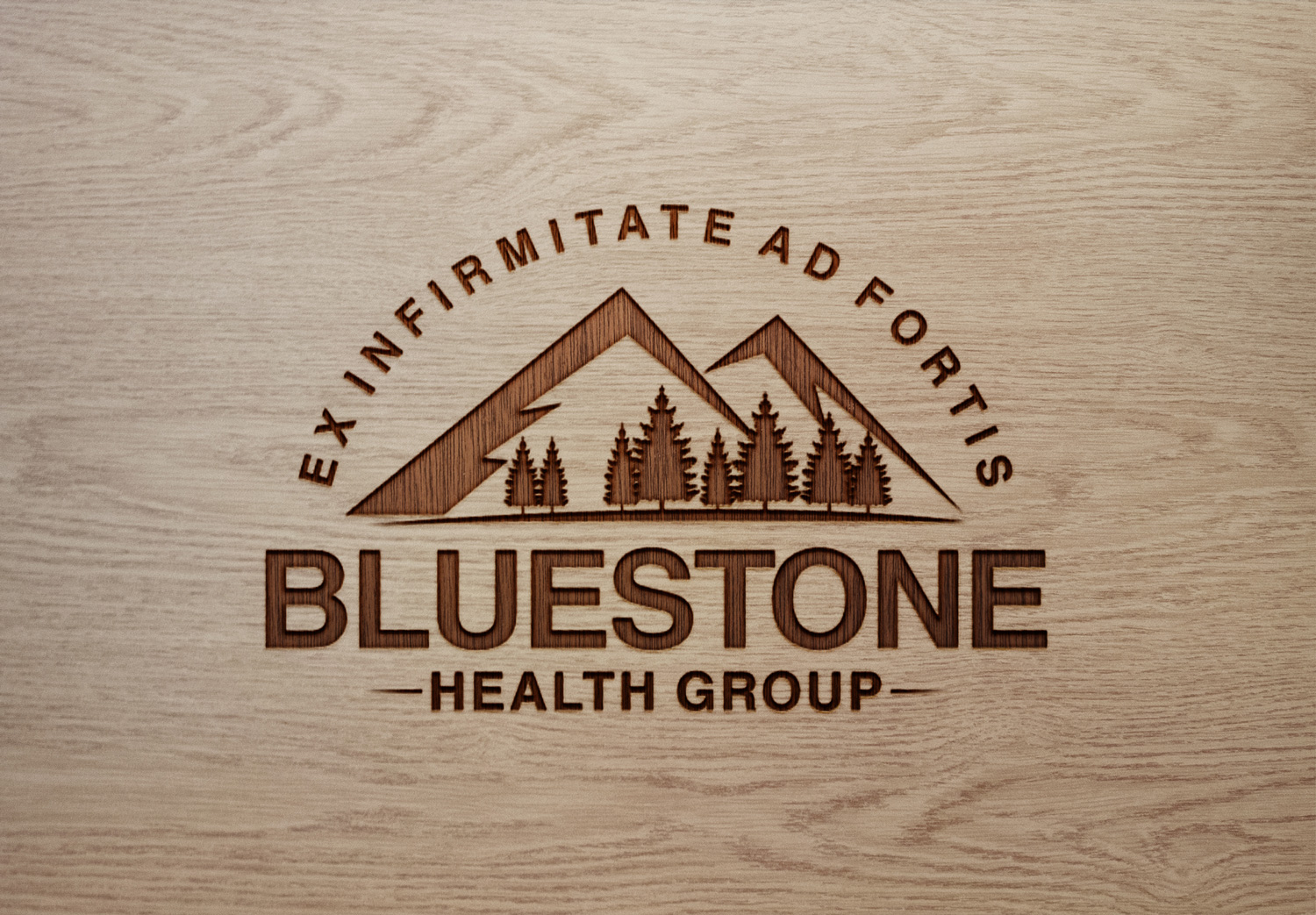 Design de Logo par e-graphics pour Bluestone Health Group  | Design #15041040