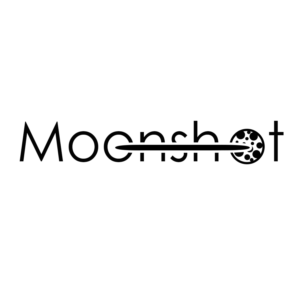 Logo Design by ibo099