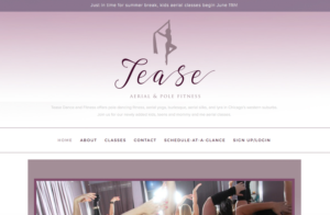 Diseño de Logo por GLDesigns para Tease Dance and Fitness | Diseño: #15088718