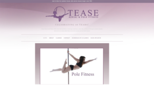 Diseño de Logo por zebronicgraphic para Tease Dance and Fitness | Diseño: #15056111
