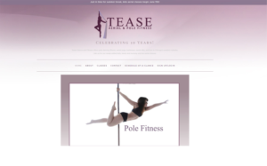 Diseño de Logo por zebronicgraphic para Tease Dance and Fitness | Diseño: #15095982