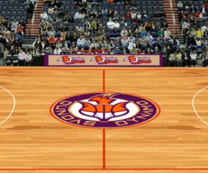 Diseño de Logo por El Ojo creativo para Dundas Dynamo Basketball Club | Diseño: #15141302