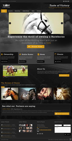 Web Design by Pixie Vyn for FiberCablesDirect.com | Design: #2607980
