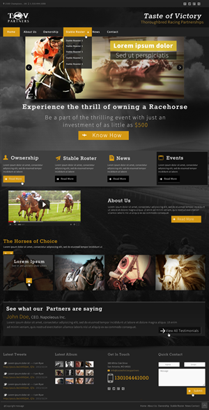 Web Design by Pixie Vyn for FiberCablesDirect.com | Design #2614393