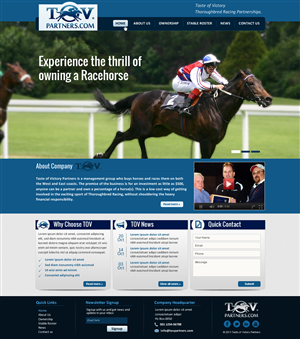 Web Design by Sbss for FiberCablesDirect.com | Design: #2584772