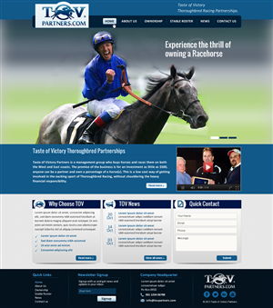 Web Design by Sbss for FiberCablesDirect.com | Design: #2603985