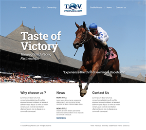 Web Design by Alex D