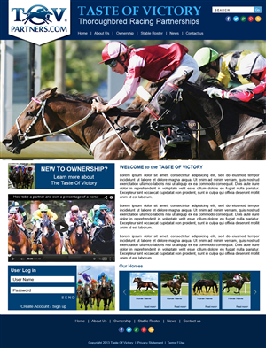 Web Design by noelopan1955