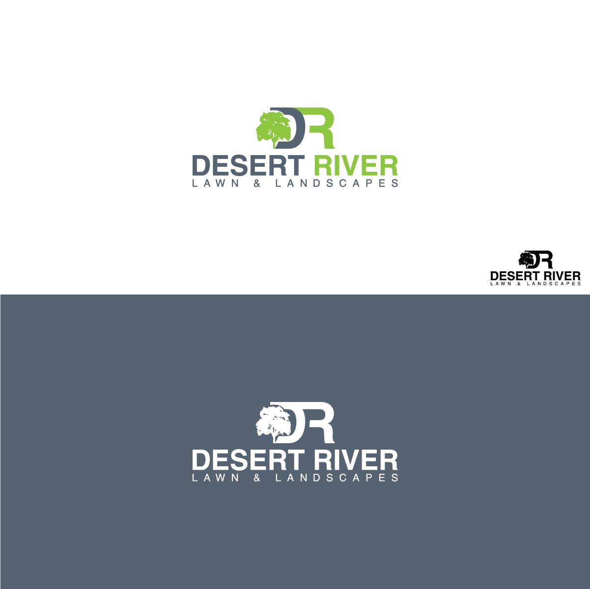 Logo Design by 3Guys for Desert River | Design #15059605