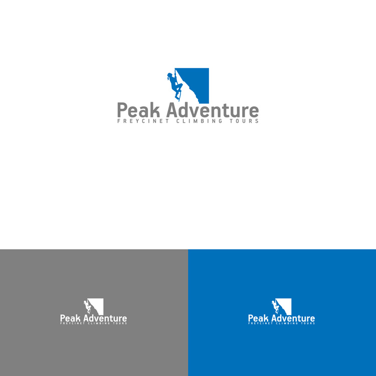 Diseño de Logo por DesignDUO para Peak Adventure  | Diseño #15176455