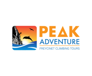 Diseño de Logo por Boon para Peak Adventure  | Diseño: #15039849