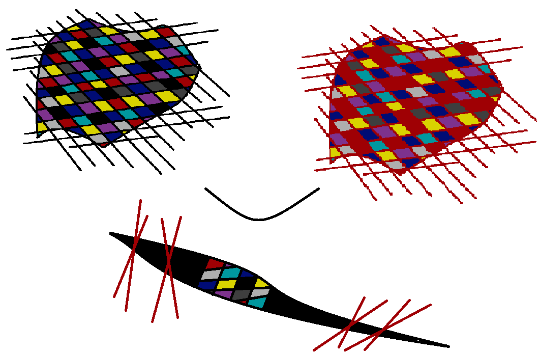 Illustration Design by Rayanna for Andrew Ward | Design #2606113