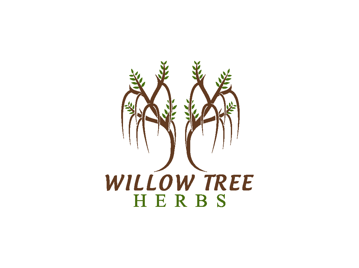 Logo Design by creative.bugs for Elemental Prism llc | Design #15043660