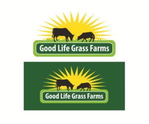 Logo Design by Hot Rod