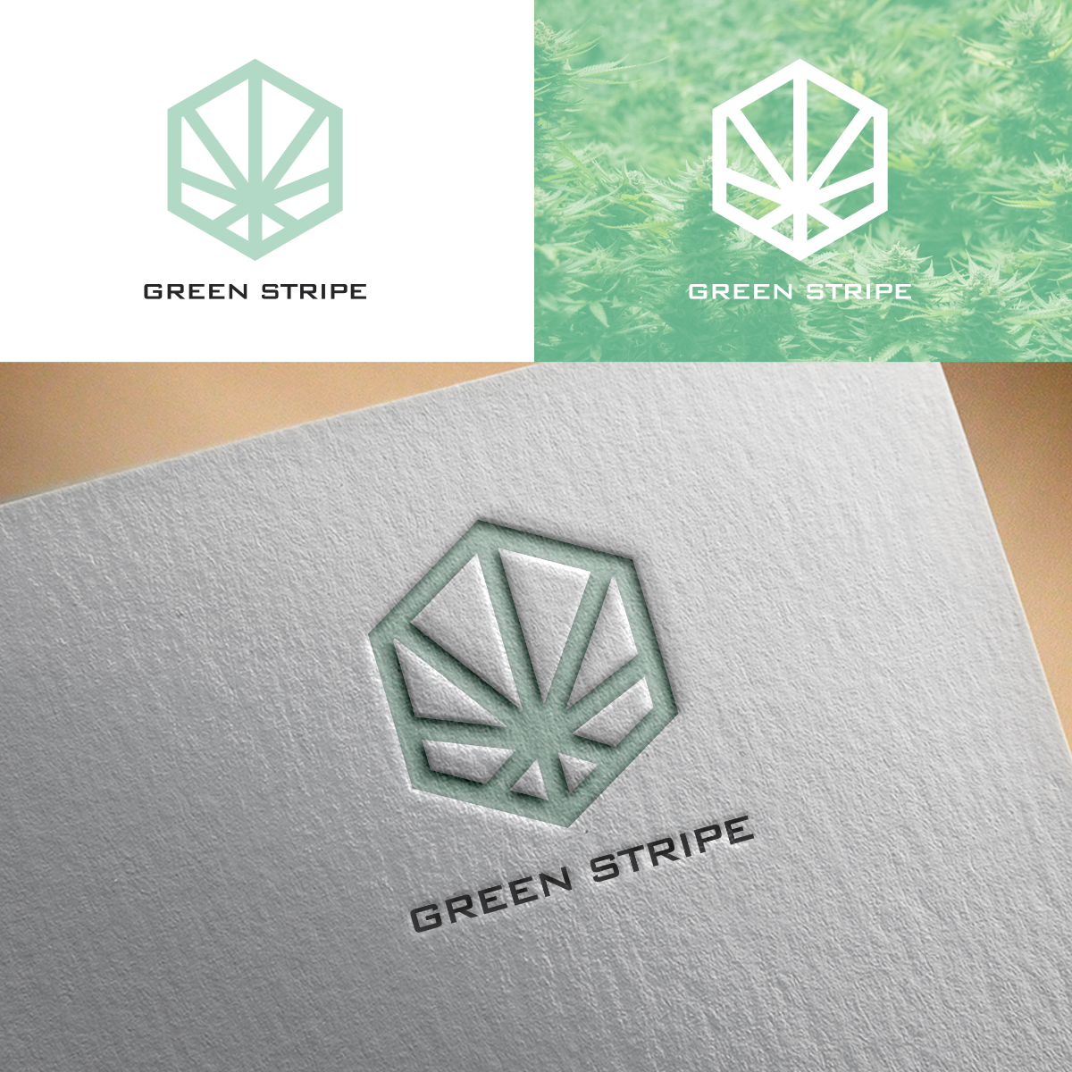 Logo Design by Renen for GREEN STRIPE | Design #15058174