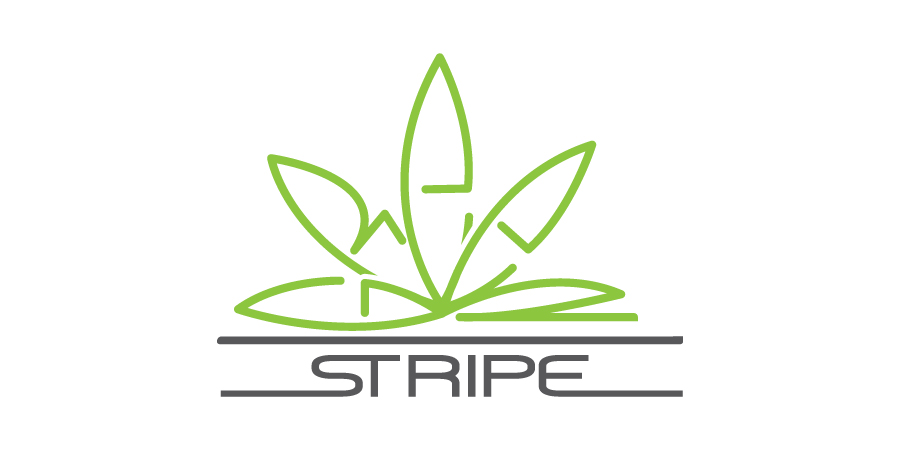 Logo Design by debdesign for GREEN STRIPE | Design #15055287