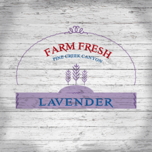 Logo Design by njvDesign