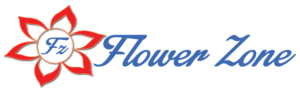 Logo Design by DesignerBhavin