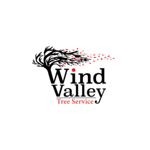 Logo Design by Atlantes