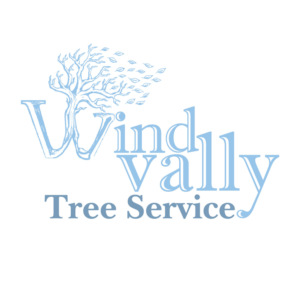Logo Design by HAMDIYA