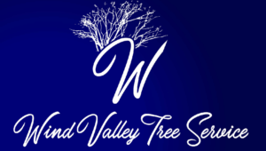 Logo Design by tahirbaig995