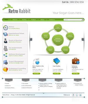 Web Design by Expert Designer for this project | Design #617668
