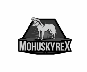 Design de Logo par GliderGraphx pour Web Duchess | Design #15057032