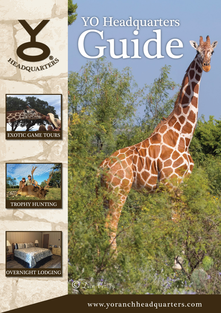 Brochure Design by Impressive Solutions for Rode Designs | Design #15052512